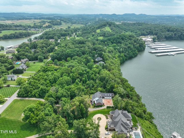 614 Harbor Point Dr, Johnson City, TN 37615