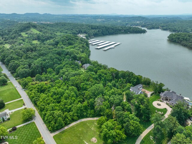 614 Harbor Point Dr, Johnson City, TN 37615