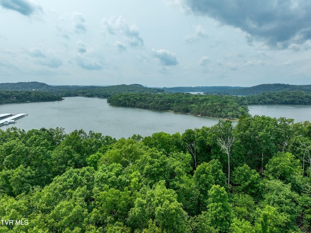 614 Harbor Point Dr, Johnson City, TN 37615