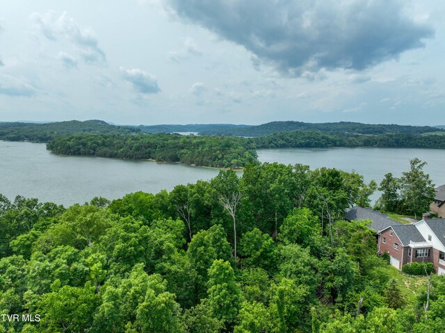 614 Harbor Point Dr, Johnson City, TN 37615