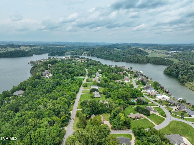 614 Harbor Point Dr, Johnson City, TN 37615