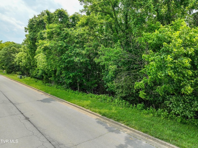 614 Harbor Point Dr, Johnson City, TN 37615