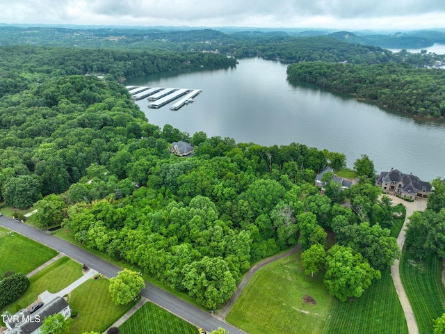 614 Harbor Point Dr, Johnson City, TN 37615