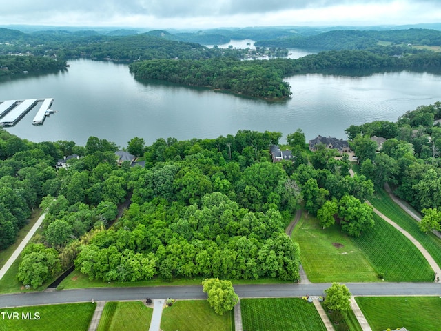 614 Harbor Point Dr, Johnson City, TN 37615