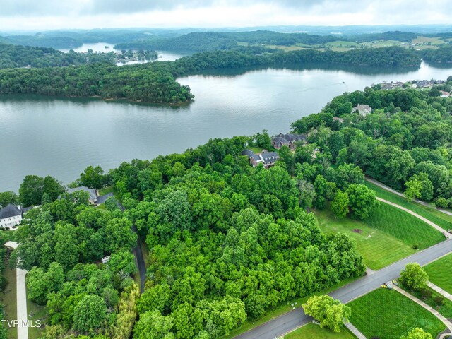 614 Harbor Point Dr, Johnson City, TN 37615