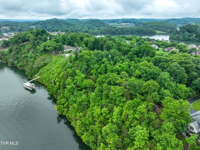 614 Harbor Point Dr, Johnson City, TN 37615