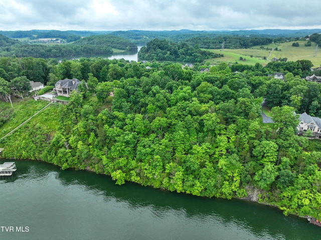 614 Harbor Point Dr, Johnson City, TN 37615