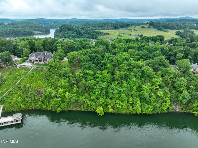 614 Harbor Point Dr, Johnson City, TN 37615
