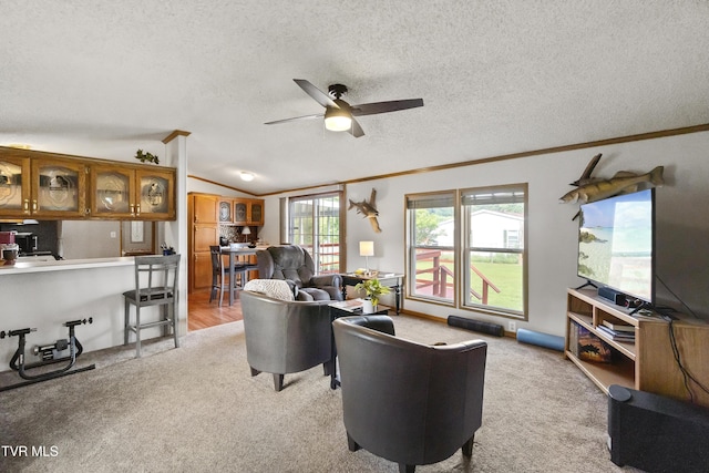 8 Circling Dr, Chuckey, TN 37641 - photo 14