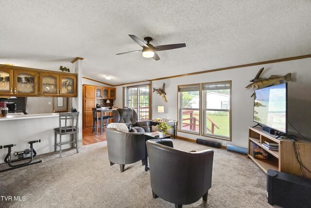 8 Circling Dr, Chuckey, TN 37641 - photo 12
