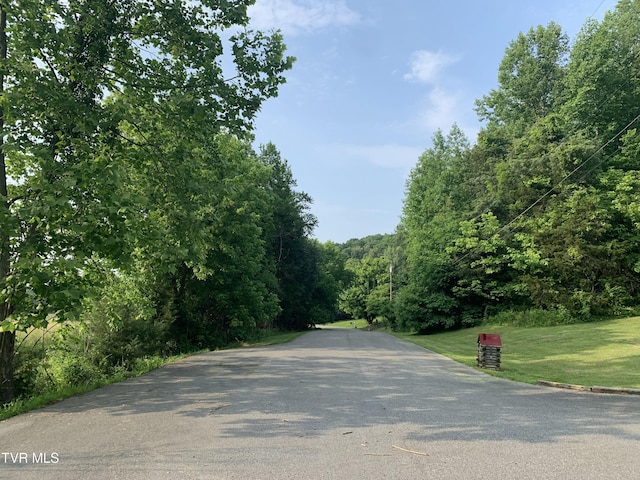 209 Brystone Dr, Gray, TN 37615 - view of asphalt street with a forest view