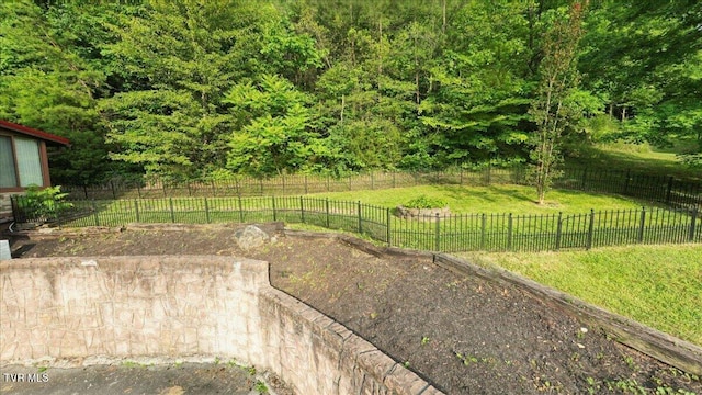 209 Brystone Dr, Gray, TN 37615 - view of yard