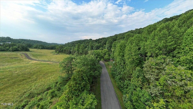 209 Brystone Dr, Gray, TN 37615 - view of mountain background featuring a forest