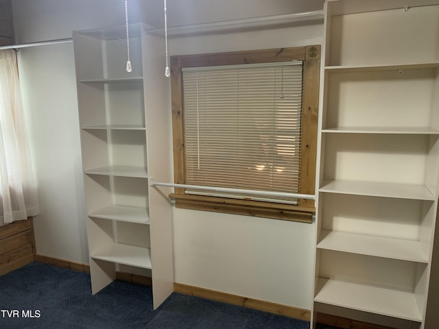 209 Brystone Dr, Gray, TN 37615 - view of closet