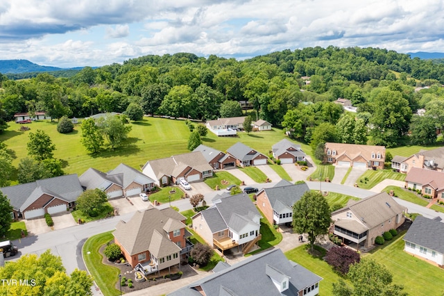 4205 Nickleby Ct, Kingsport, TN 37663 - photo 68
