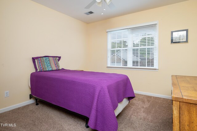 4205 Nickleby Ct, Kingsport, TN 37663 - photo 37