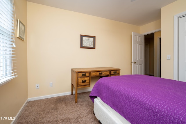 4205 Nickleby Ct, Kingsport, TN 37663 - photo 38
