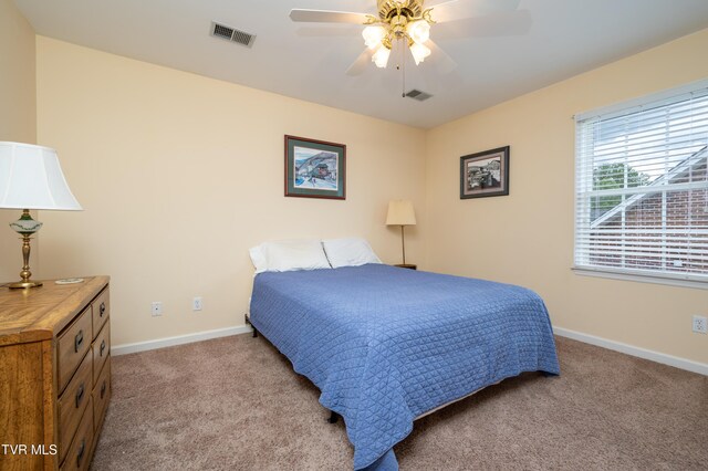 4205 Nickleby Ct, Kingsport, TN 37663 - photo 41