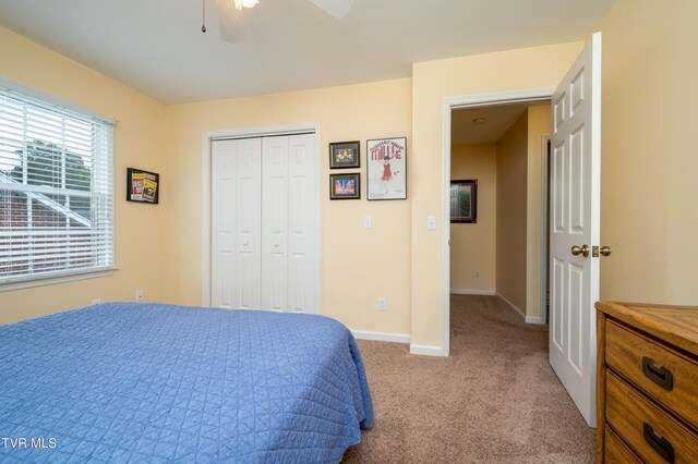 4205 Nickleby Ct, Kingsport, TN 37663 - photo 42