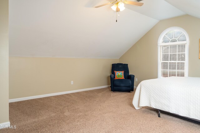 4205 Nickleby Ct, Kingsport, TN 37663 - photo 47