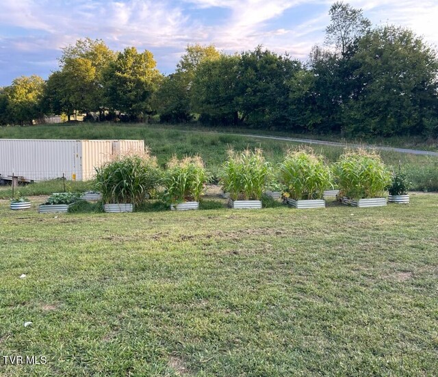 55 Little Chuckey Cutoff, Mosheim, TN 37818 - photo 13