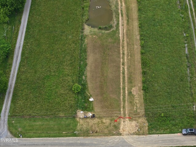 55 Little Chuckey Cutoff, Mosheim, TN 37818 - photo 21