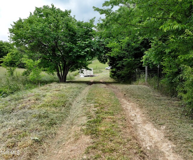 55 Little Chuckey Cutoff, Mosheim, TN 37818 - photo 19