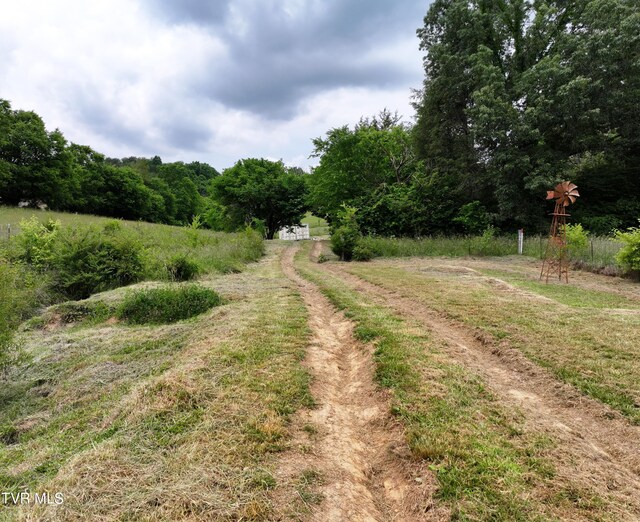 55 Little Chuckey Cutoff, Mosheim, TN 37818 - photo 2