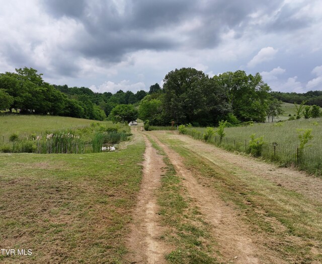 55 Little Chuckey Cutoff, Mosheim, TN 37818 - photo 17