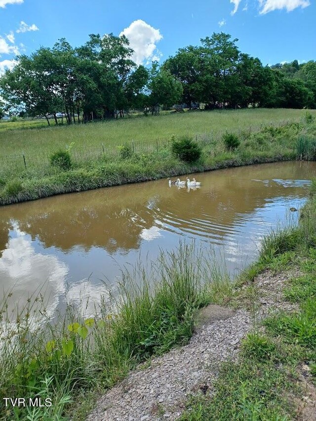 55 Little Chuckey Cutoff, Mosheim, TN 37818 - photo 18