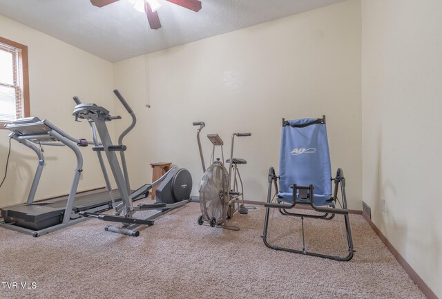 9266 Forest Rd, Coeburn, VA 24230 - exercise area with carpet, a ceiling fan, and baseboards