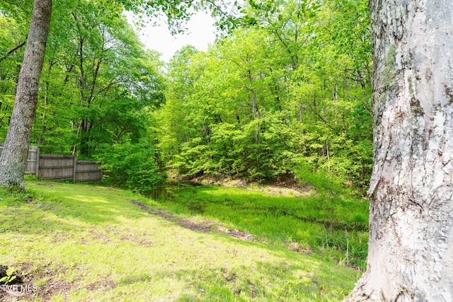 9266 Forest Rd, Coeburn, VA 24230 - view of yard featuring a wooded view and a gate