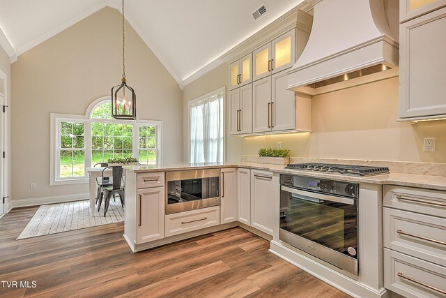 302 Charlton Ct, Bluff City, TN 37618 - kitchen featuring appliances with stainless steel finishes, custom exhaust hood, a peninsula, dark wood-type flooring, and light stone countertops