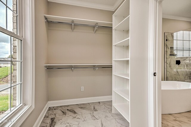 302 Charlton Ct, Bluff City, TN 37618 - view of closet