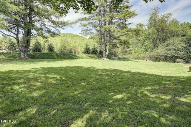 1236 Banner Elk Hwy, Banner Elk, NC 28604 - photo 4