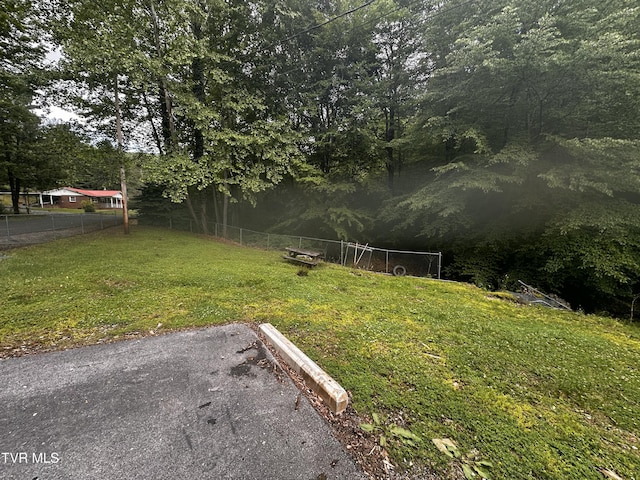 11510 Dogwood Ln, Pound, VA 24279 - view of yard