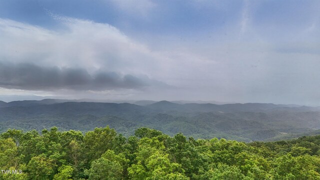 5065 Tahoe Trl, Saltville, VA 24370 - photo 10