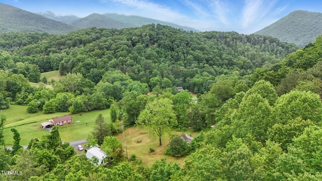 5065 Tahoe Trl, Saltville, VA 24370 - photo 5