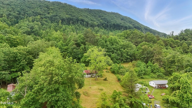5065 Tahoe Trl, Saltville, VA 24370 - photo 1