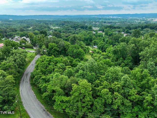 TBD Kincaid St, Kingsport, TN 37660 - photo 23