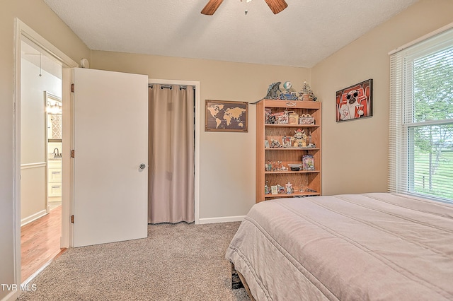 118 Greenmeadow Ln, Jonesborough, TN 37659 - bedroom featuring light colored carpet, a sink, ceiling fan, and baseboards