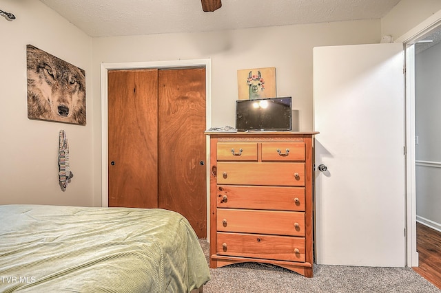 118 Greenmeadow Ln, Jonesborough, TN 37659 - bedroom featuring a closet