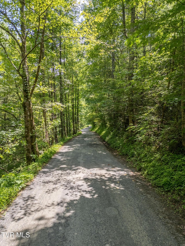 0000 Old 15th Rd, Del Rio, TN 37727 - photo 2