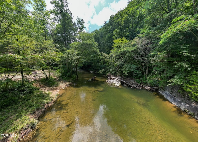 0000 Old 15th Rd, Del Rio, TN 37727 - photo 3