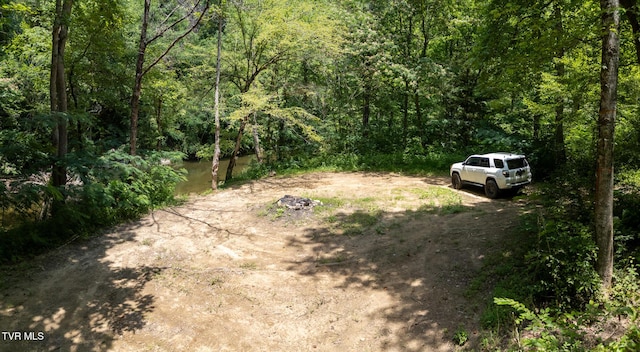 0000 Old 15th Rd, Del Rio, TN 37727 - photo 7