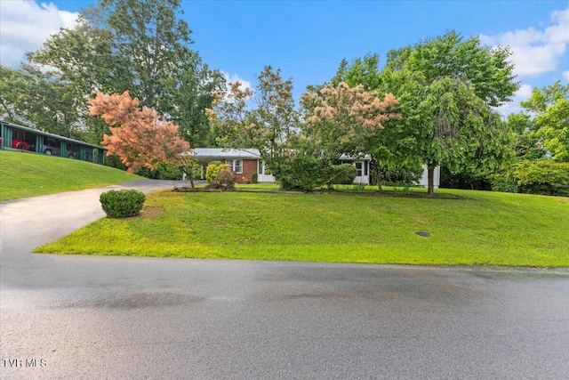 104 Hickory Dr, Greeneville, TN 37745 - photo 4