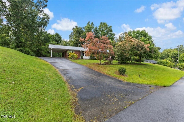 104 Hickory Dr, Greeneville, TN 37745 - photo 10