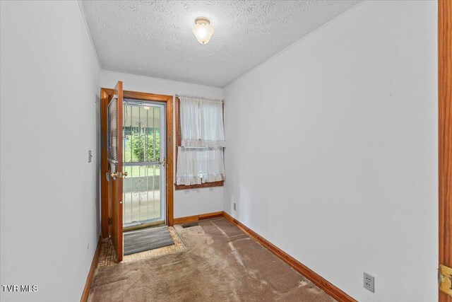 104 Hickory Dr, Greeneville, TN 37745 - photo 12