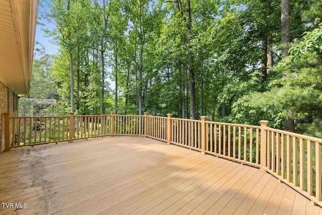 2 Mistletoe Ct, Johnson City, TN 37604 - photo 4