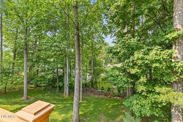 2 Mistletoe Ct, Johnson City, TN 37604 - photo 6